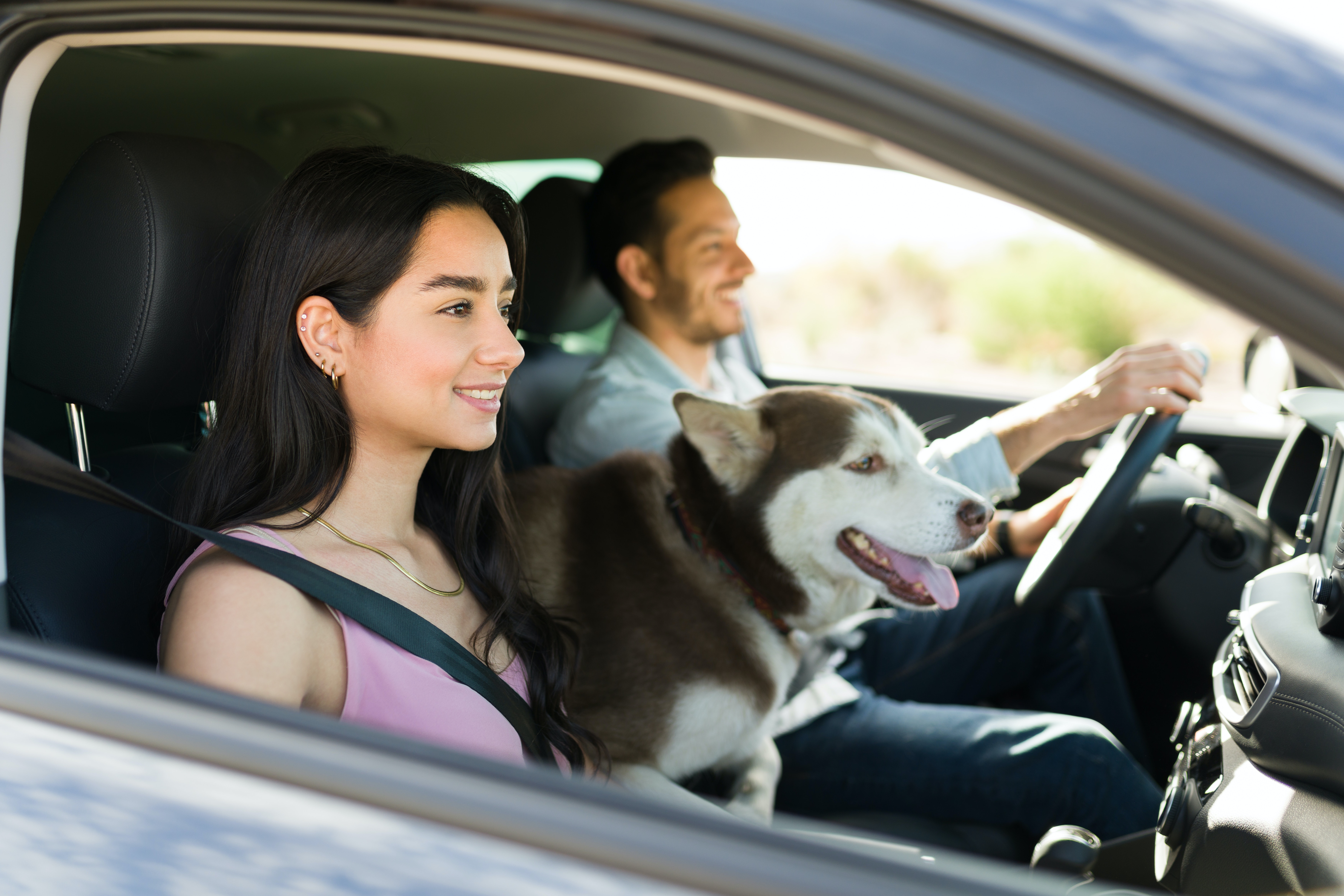 Couple driving in car with dog in between them